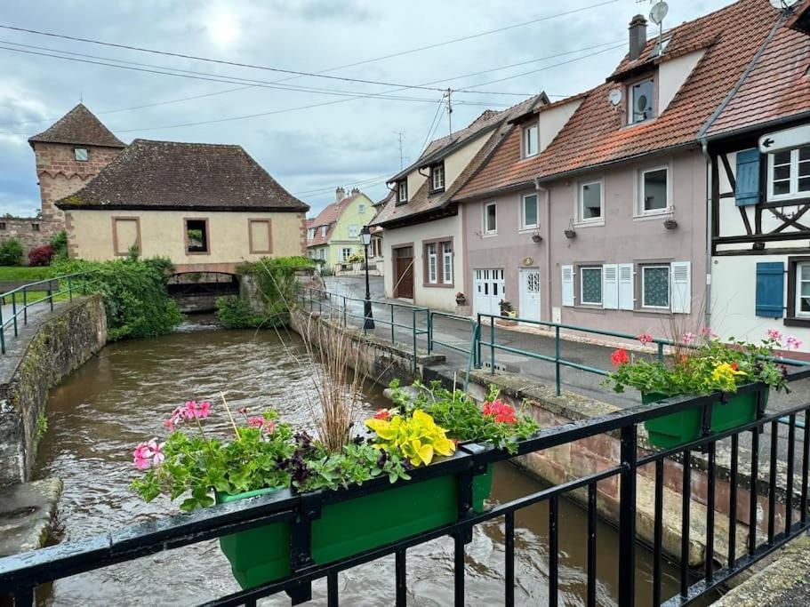 Willa Au Bord De L'Eau Wissembourg Zewnętrze zdjęcie